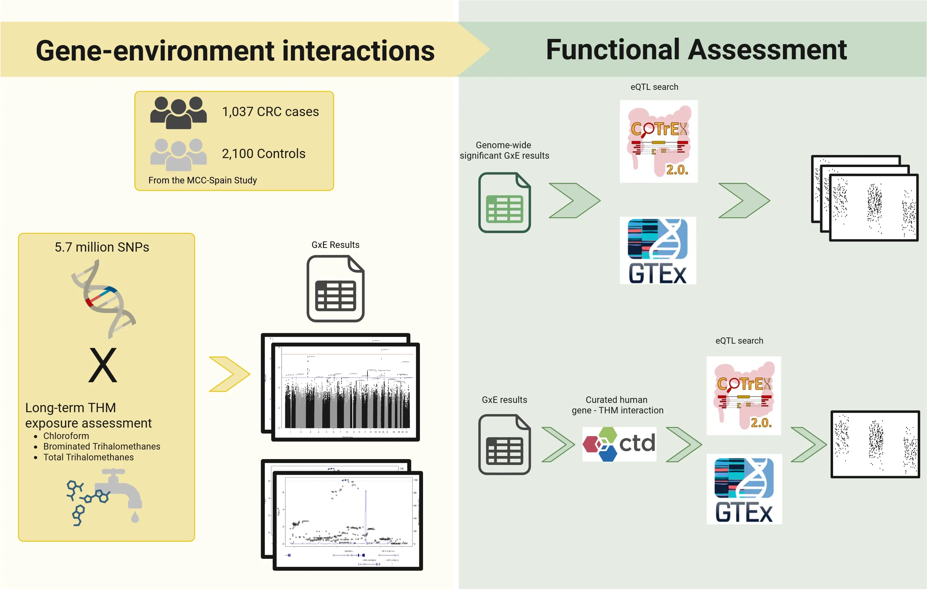 Graphical Abstract